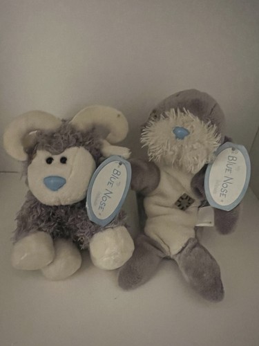 Blue nose friends bundle - my,