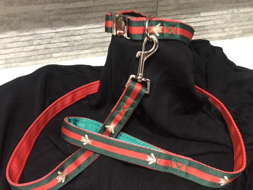 Beautiful matching dog collar - beautiful,