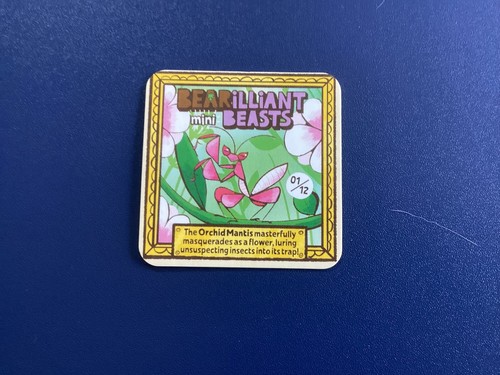 Bear yoyo bearilliant mini - yoyo,