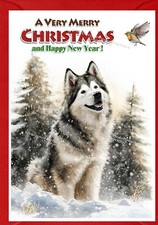 Alaskan Malamute Dog Christmas