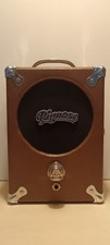 Pignose Portable Guitar
