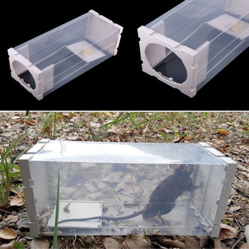 Professional rodent box trap - box,