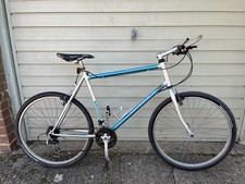 Men's Raleigh Mtrax 26-inch