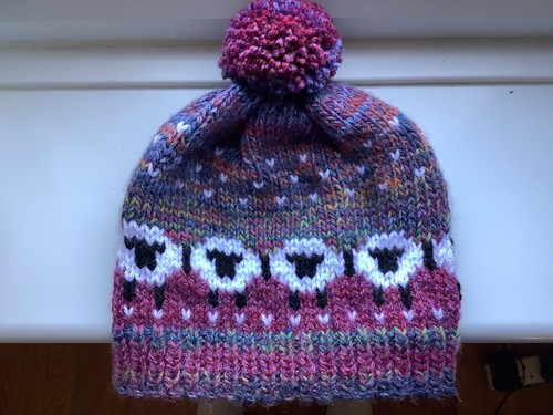 Adult hand knitted sheep - -,