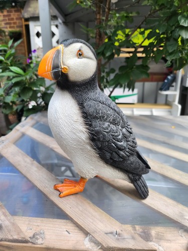 Puffin garden ornament statue - garden,