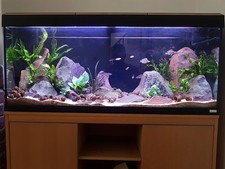 Aquarium fish tank - tank, 4ft