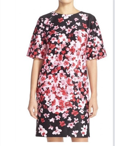 Nwt eliza floral - nwt, sheath