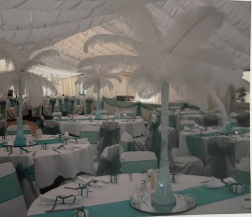 100s fluffy premina wing - premina,