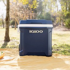 Igloo MaxCold 58 Litre (62 US