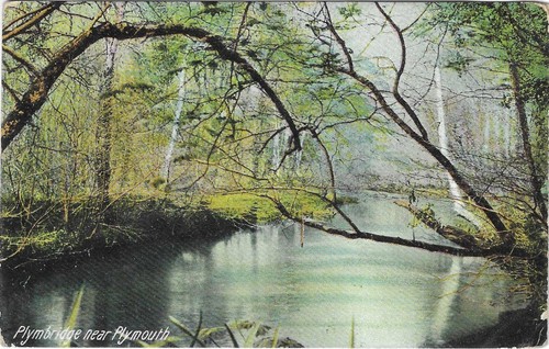Plymbridge plymouth postcard - plymbridge,