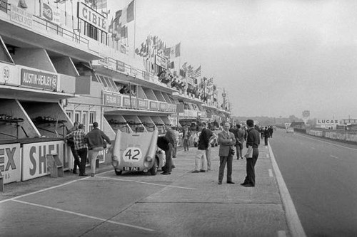 The austin healey sprite - austin-healey, 1100