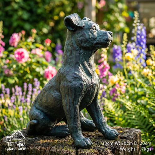 Jack russel dog - dog, effect