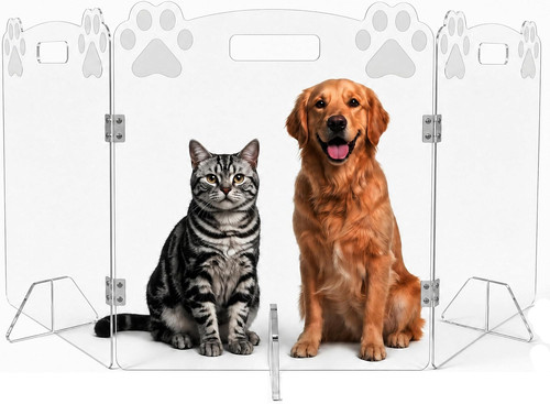 Clear acrylic dog - acrylic, gate