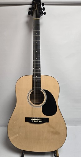 Eastcoast sw203 acoustic - eastcoast,