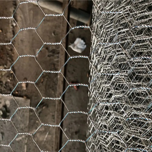 25m chicken wire mesh - chicken, rabbit