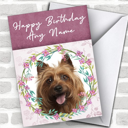 Australian terrier dog pink - dog,