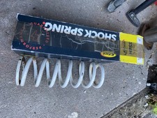 WP Rear Spring 42-247