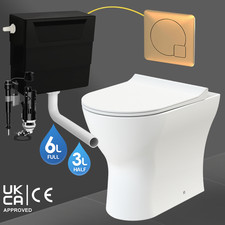 Back To Wall Toilet Rimless D
