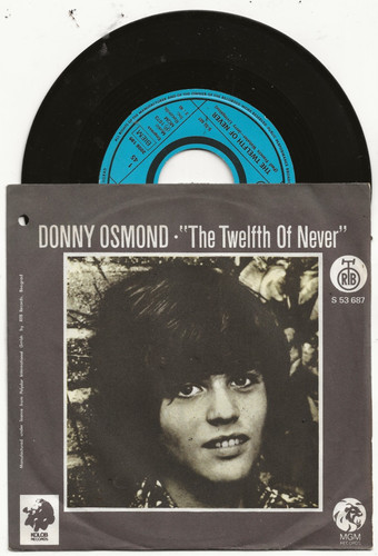 Donny osmond the twelfth - donny,