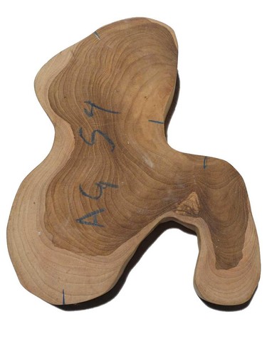 Teak wild tree slice - x,