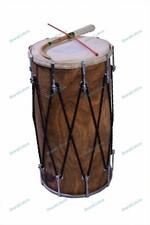 Professional Punjabi Mango