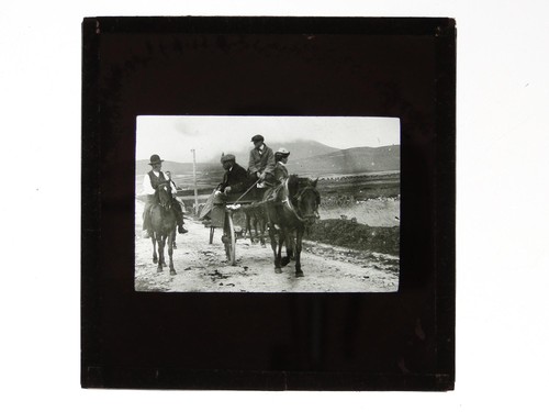 Horse drawn cart trap - horse,