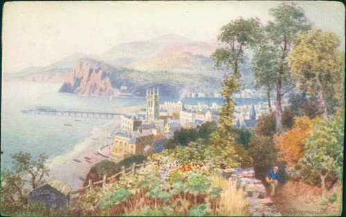 Teignmouth 1906 postmark tucks - 1906,