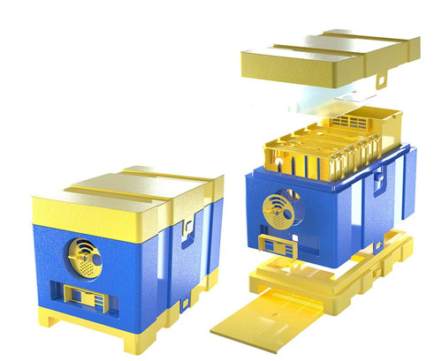 Beekeeping mating hive with - hive,