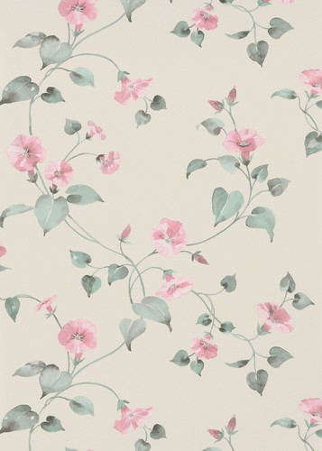 Abode flowers leaves pink - flowers,