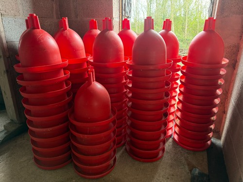 Poultry chickens drinker - poultry,