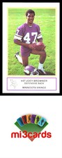 1983 Minnesota Vikings Police