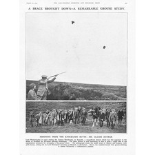 KNOCKANDO Speyside, Grouse Shooting Party - Vintage Print 1925