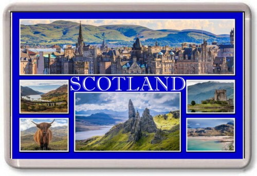 Fridge magnet scotland - fridge,