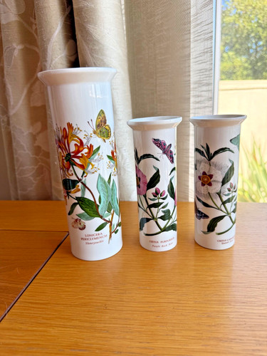 Choice poirtmeirion botanic - of,