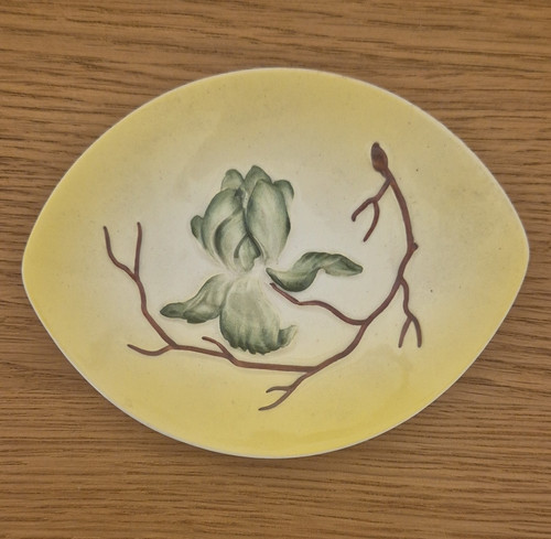 Carlton ware hand painted - carlton,