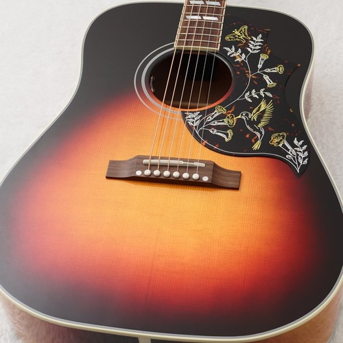 Gibson hummingbird maple long - maple,