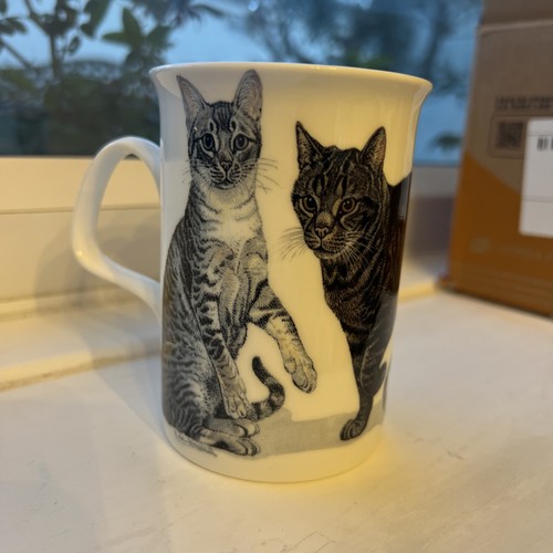 Roy kirkham cats - roy,