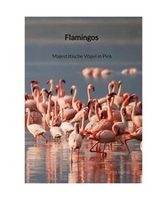 Flamingos - Majestätische