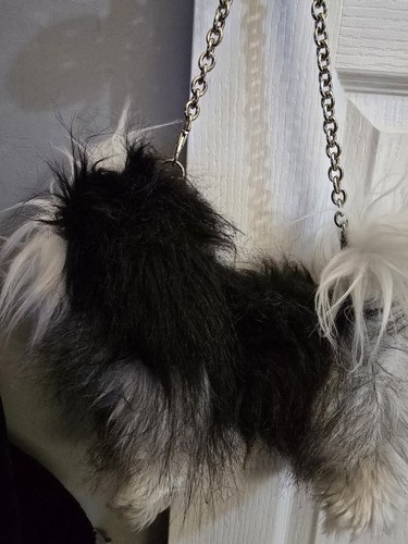 Shitzu shih tzu - shitzu,