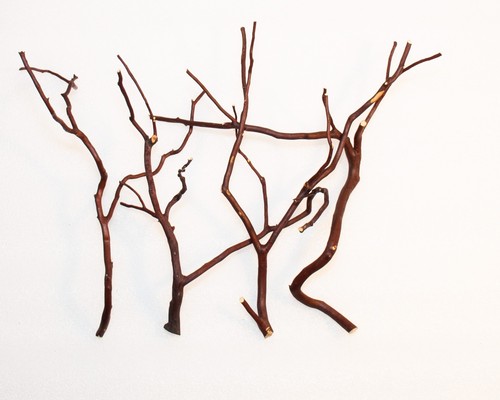 Manzanita wood thin branches - manzanita,