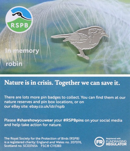 Rspb pin badge - badge, in