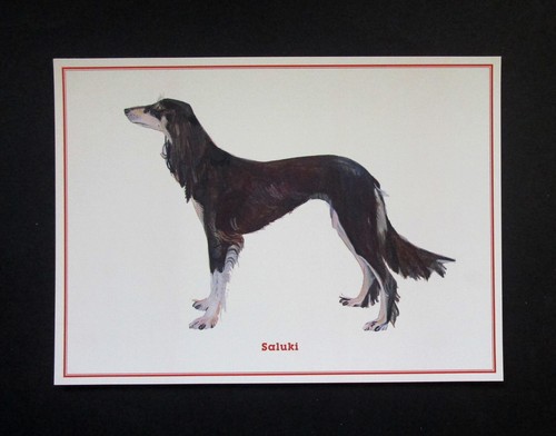 Craft beautiful 2011 saluki - 2011,