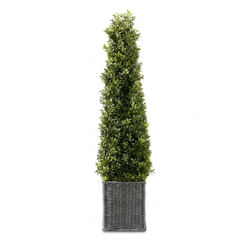 Artificial boxwood cone tree - boxwood,