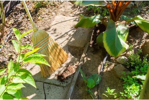 140cm long corn broom sweeping - 140cm,
