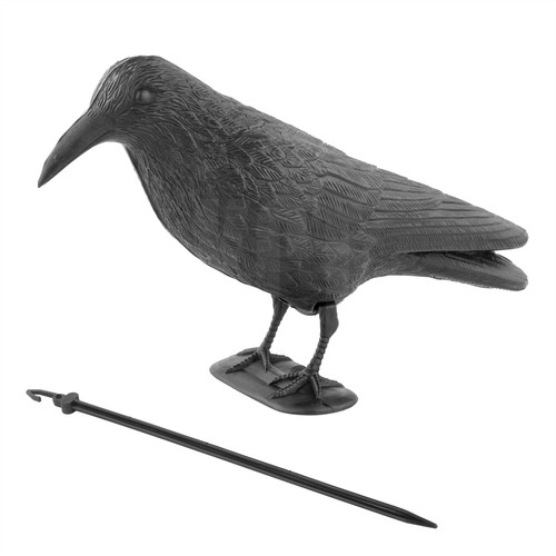 Crow decoy multi position - decoy,