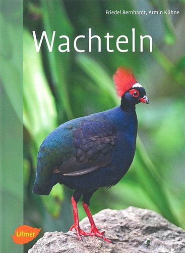Bernhardt wachteln neu - bernhardt:,