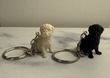 Black Or Fawn Sitting Pug
