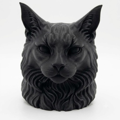 Maine coon cat bust home - cat,