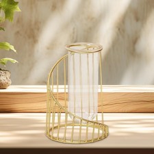 Hydroponic Test Tube Vase