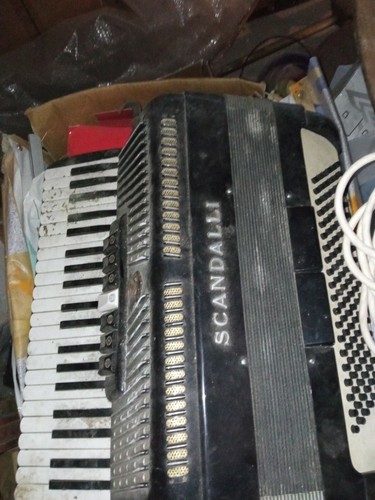 Low scandals accordion - scandals,